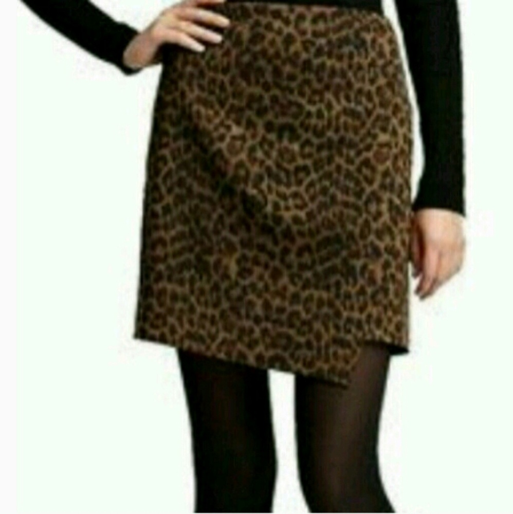 Ann Taylor Skirt